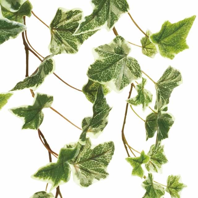 �������������ӡ����󥰥Х��󡡥饤�ȥ��꡼������Ʋ��FG001467-023, FG1467�ˡڥ����ƥ��ե������ե��ʹ��¤�֡ˡ�