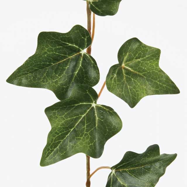 �������������ӡ��������ɡ����꡼������Ʋ��FG001465-024, FG1465�ˡڥ����ƥ��ե������ե��ʹ��¤�֡ˡ�