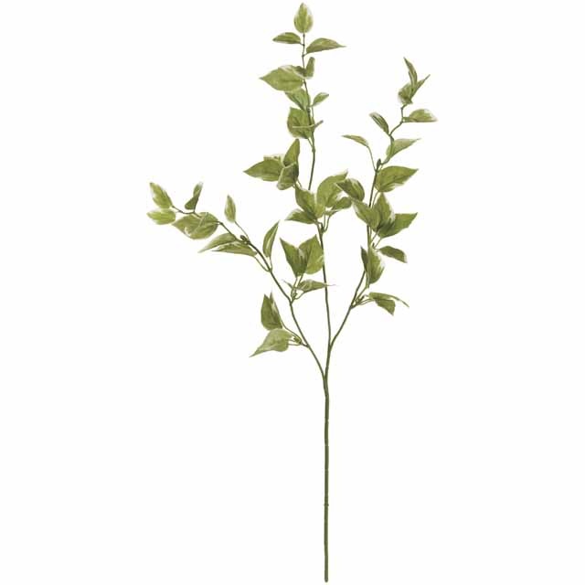 �ۥ�꡼�ե��ץ졼�����Ʋ��FG002087, FG2087�ˡڥ����ƥ��ե������ե��ʹ��¤�֡ˡ�