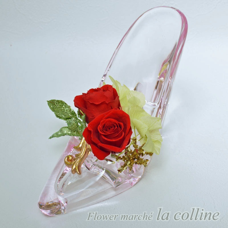 ���쥬��ȥϥ��ҡ���ʥ�åɡˡڥץꥶ���֥ɥե�����󥸡�