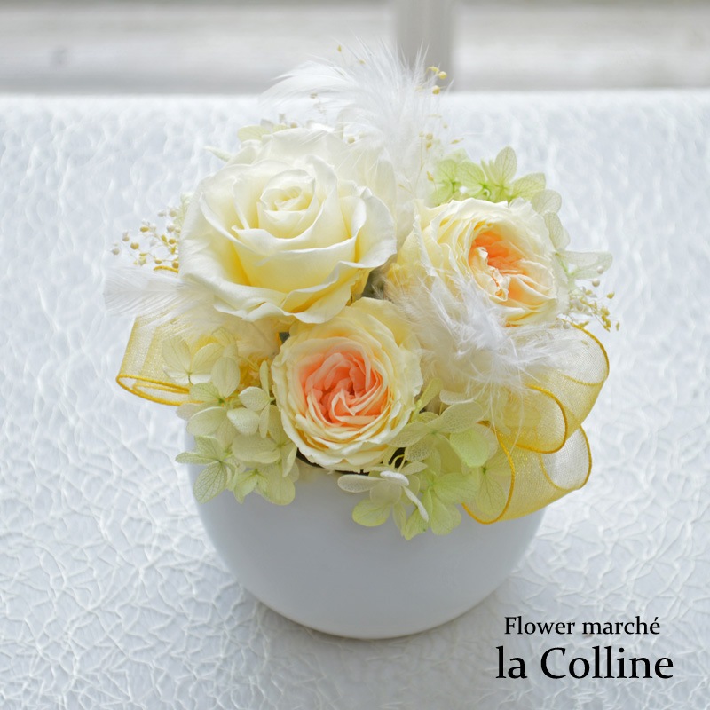 �Ҥ褳�ڥץꥶ���֥ɥե�����󥸡�