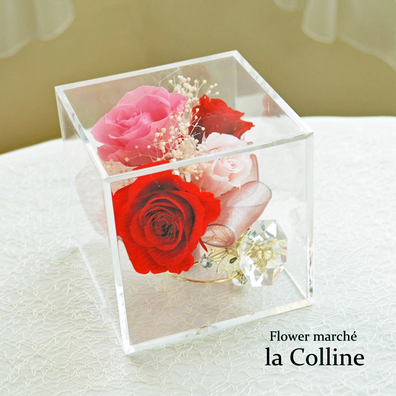 ֡ȥɥ󥰤Υ塼֡ʥåɡˡڥץꥶ֥ɥե󥸡