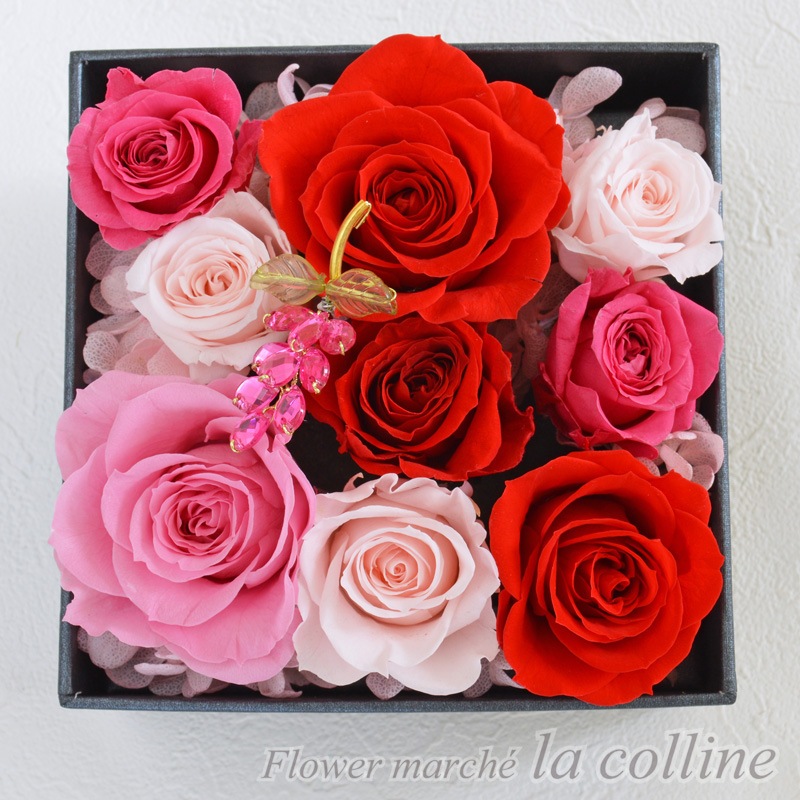 ���쥬��ȥ������Σ£ϣإ���󥸡ڥץꥶ���֥ɥե�����󥸡�