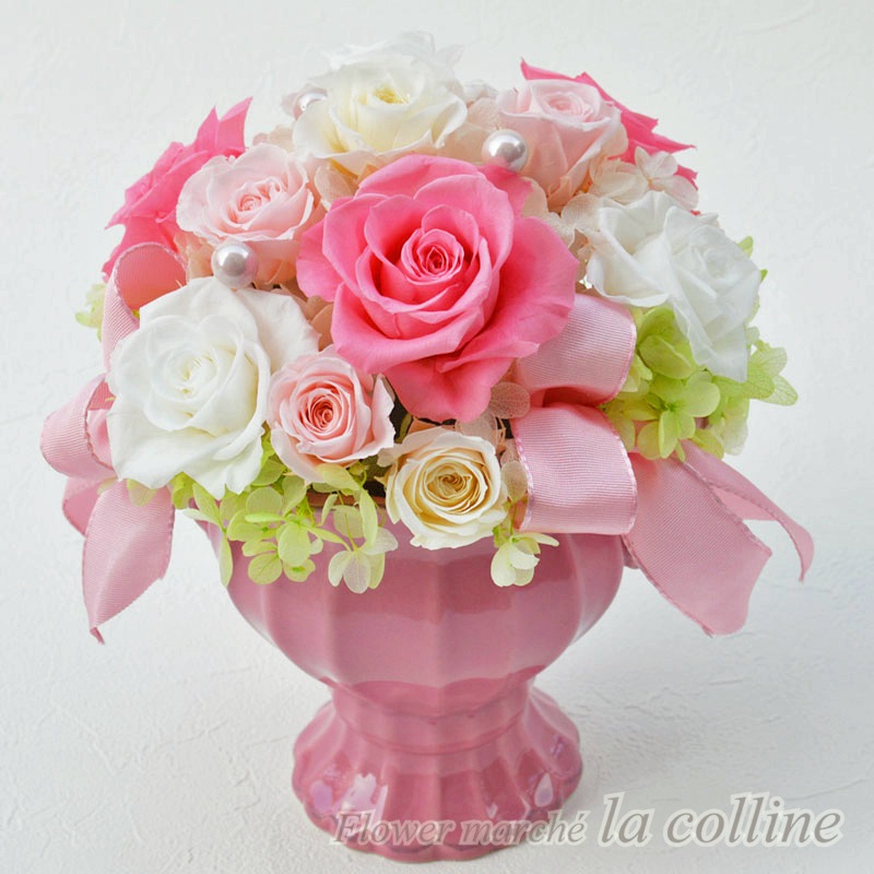 ���������ȥ����ڥץꥶ���֥ɥե�����󥸡�