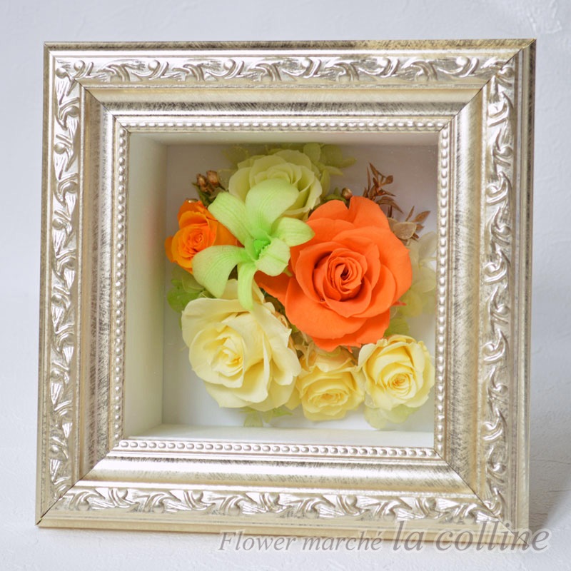 �������ȥǥ�ե�����ɳݤ��ʥ���󥸡ˡڥץꥶ���֥ɥե�����󥸡�