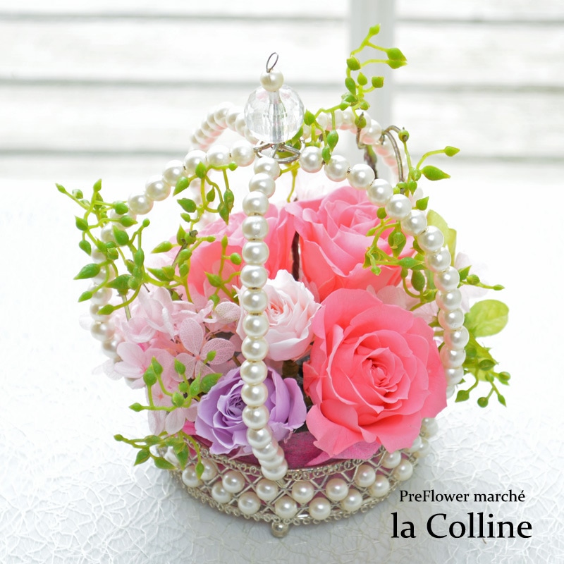 �ԥ󥯥������Υ��饦�󥢥�󥸡ڥץꥶ���֥ɥե�����󥸡�