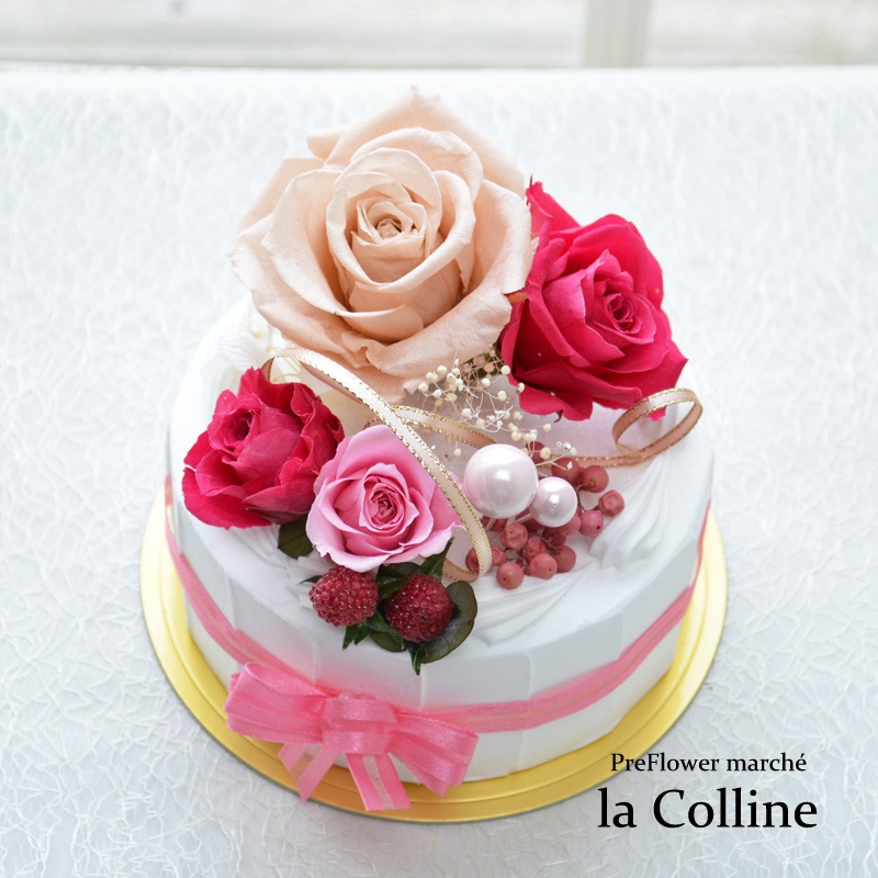 �ۡ���ǥ��졼����󥱡����ʥե��ܥ���ˡڥץꥶ���֥ɥե�����󥸡�