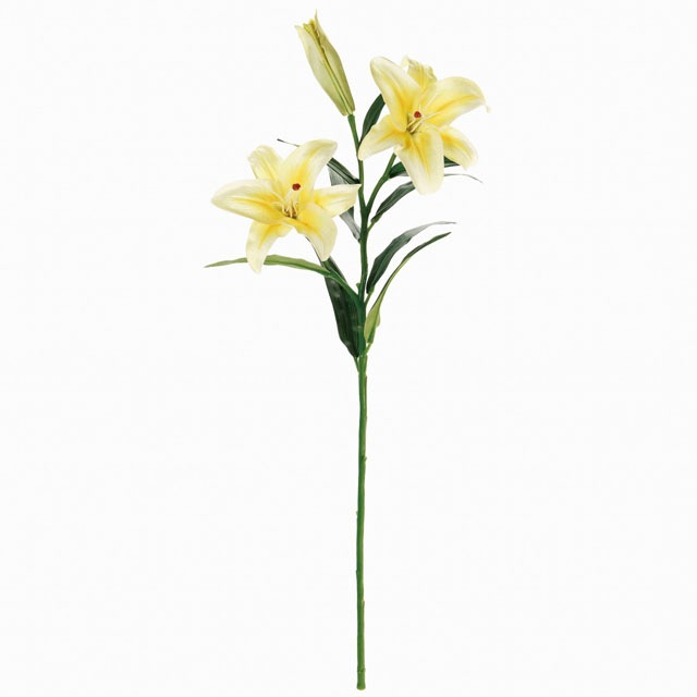 �ץ饤�ޥ�ĥ��󥫥��֥�� ���������������Ʋ��FM004122-004, FM4122�ˡڥ����ƥ��ե������ե��ʹ��¤�֡ˡ�