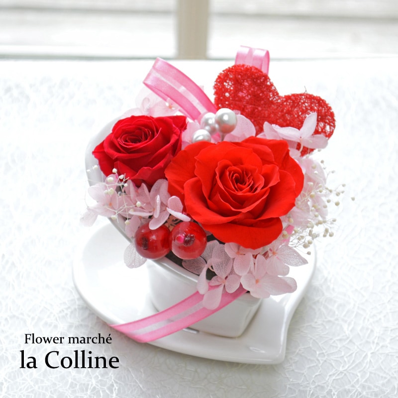 �ϡ��ȥ��åסʥ�åɡˡڥץꥶ���֥ɥե�����󥸡�