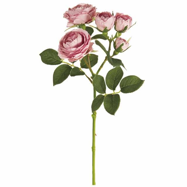 エクリュメリンダローズ ライラックモーブ（東京堂／FM000154-042