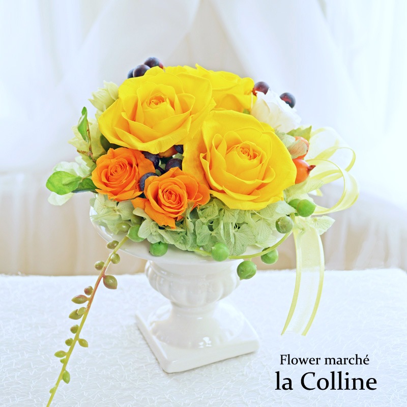 礭ʲХȥ٥꡼Υեߥ˥󥢥󥸡ڥץꥶ֥ɥե󥸡