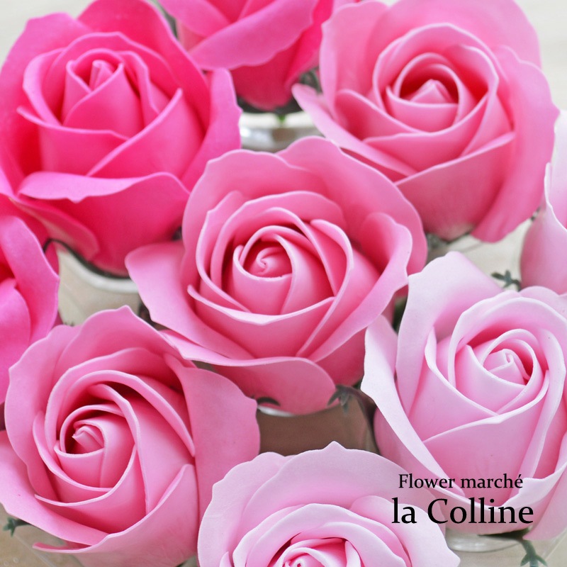 ���ꥢ�ΥХå����㡼��ʥԥ󥯡ˤȥե쥰��󥹥����פΥ��åȡڥ����ƥ��ե������ե��ʹ��¤�֡˥���󥸡�