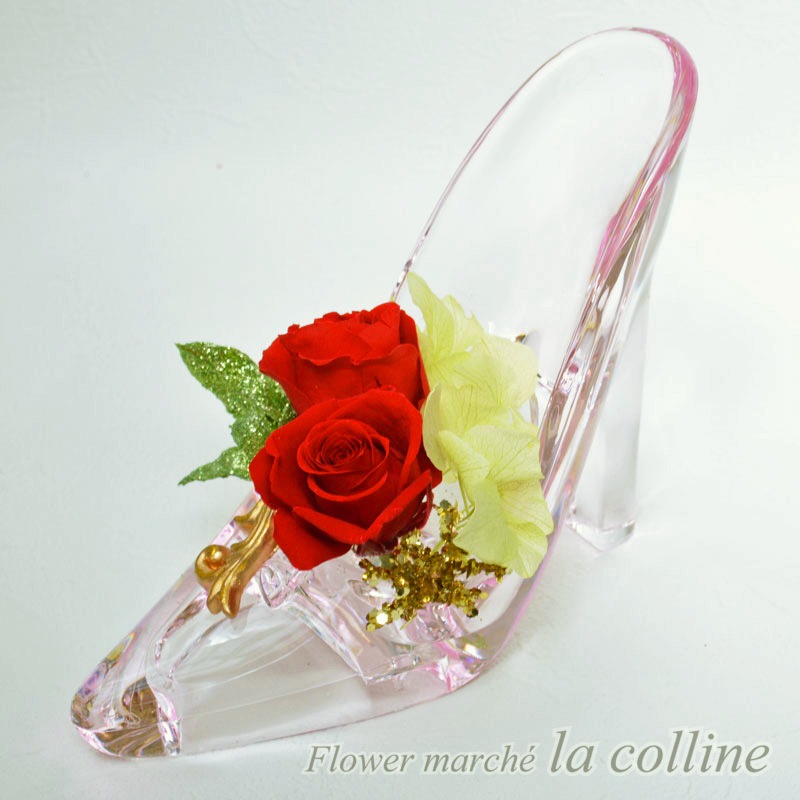 ���쥬��ȥϥ��ҡ���ʥ�åɡˡڥץꥶ���֥ɥե�����󥸡�