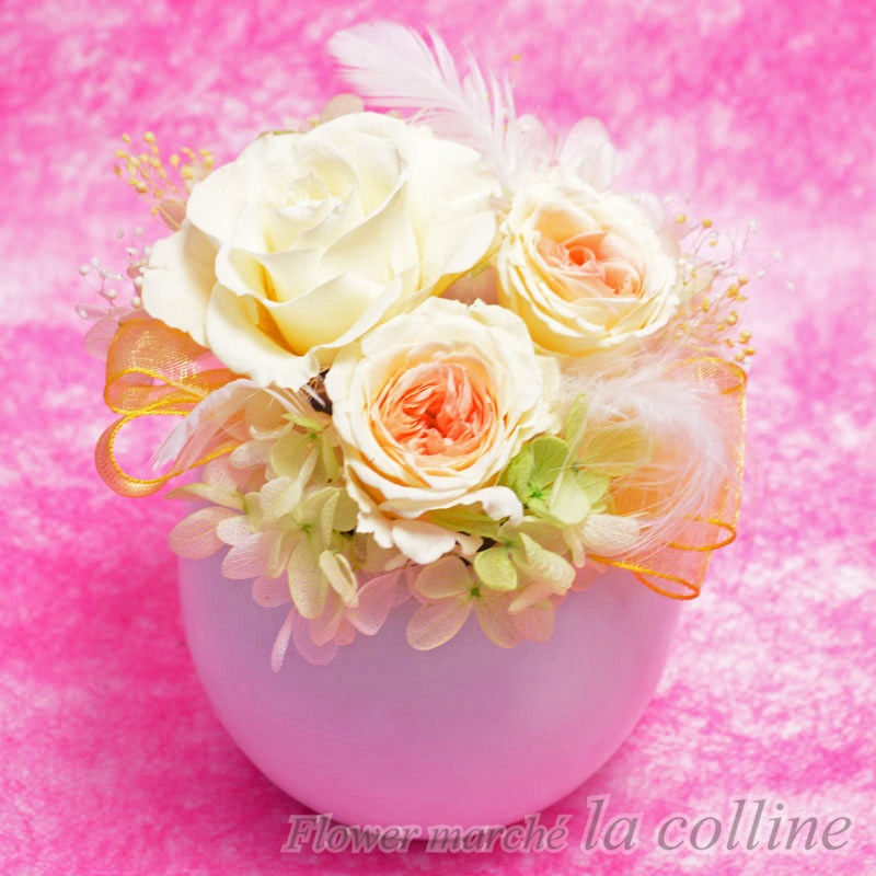 �Ҥ褳�ڥץꥶ���֥ɥե�����󥸡�