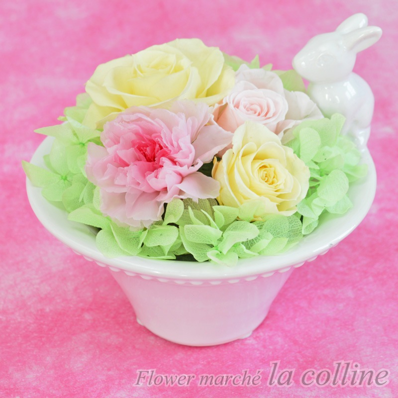 ����Ȫ��̴����ȣ��Σ��������ڥץꥶ���֥ɥե�����󥸡�