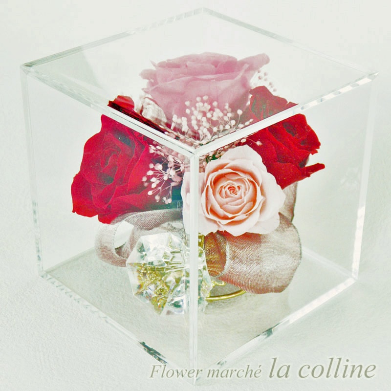 ֡ȥɥ󥰤Υ塼֡ʥåɡˡڥץꥶ֥ɥե󥸡