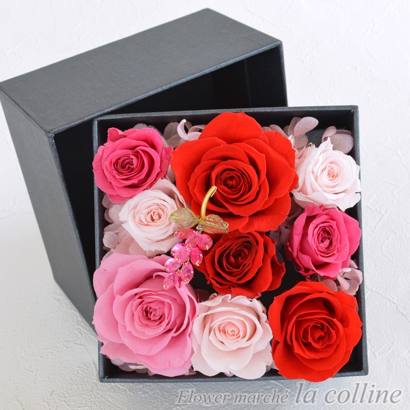 ���쥬��ȥ������Σ£ϣإ���󥸡ڥץꥶ���֥ɥե�����󥸡�