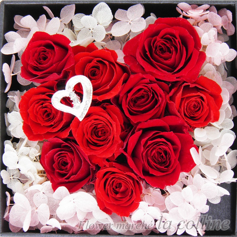 �����֤ʥϡ��ȤΣ£ϣإ���󥸡ڥץꥶ���֥ɥե�����󥸡�