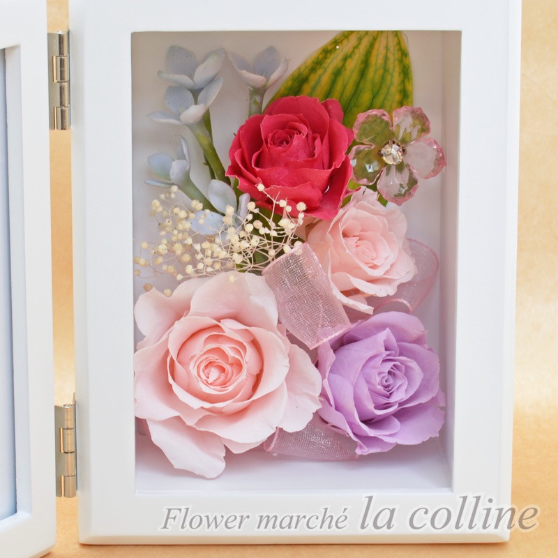 �ץꥶ�������Υե��ȥե졼��ʥԥ󥯡ˡڥץꥶ���֥ɥե�����󥸡�