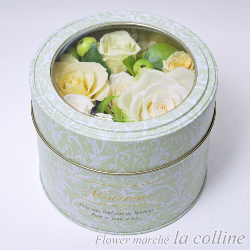 �֥ꥭ�̤Υե��ߥ˥�£ϣإ���󥸡ʥե�å��奰�꡼��ˡڥץꥶ���֥ɥե�����󥸡�