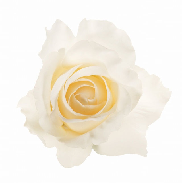 �ߥ�������������Х˥�����Ʋ��FM000115-030, FM115�ˡڥ����ƥ��ե������ե��ʹ��¤�֡ˡ�