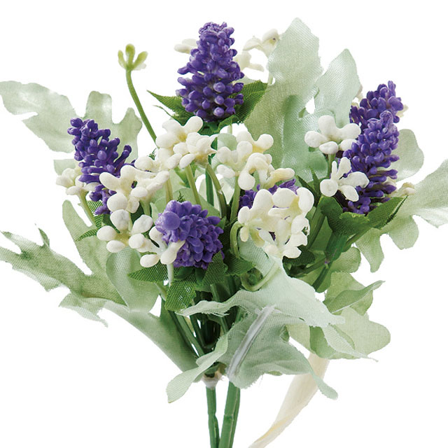 �����쥢�٥��˥��ԥå����֥롼��٥���������Ʋ��FM004051-011, FM4051�ˡڥ����ƥ��ե������ե��ʹ��¤�֡ˡ�