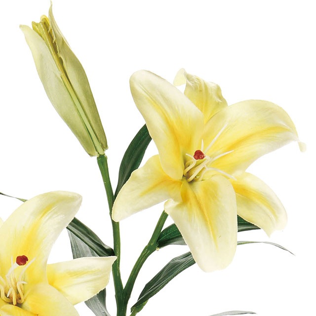 �ץ饤�ޥ�ĥ��󥫥��֥�� ���������������Ʋ��FM004122-004, FM4122�ˡڥ����ƥ��ե������ե��ʹ��¤�֡ˡ�