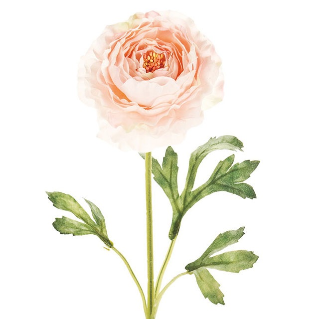 ��ʥ󥭥�饹���ͥåȡ��ԥ󥯡����Ʋ��FM005857-002, FM5857�ˡڥ����ƥ��ե������ե��ʹ��¤�֡ˡ�