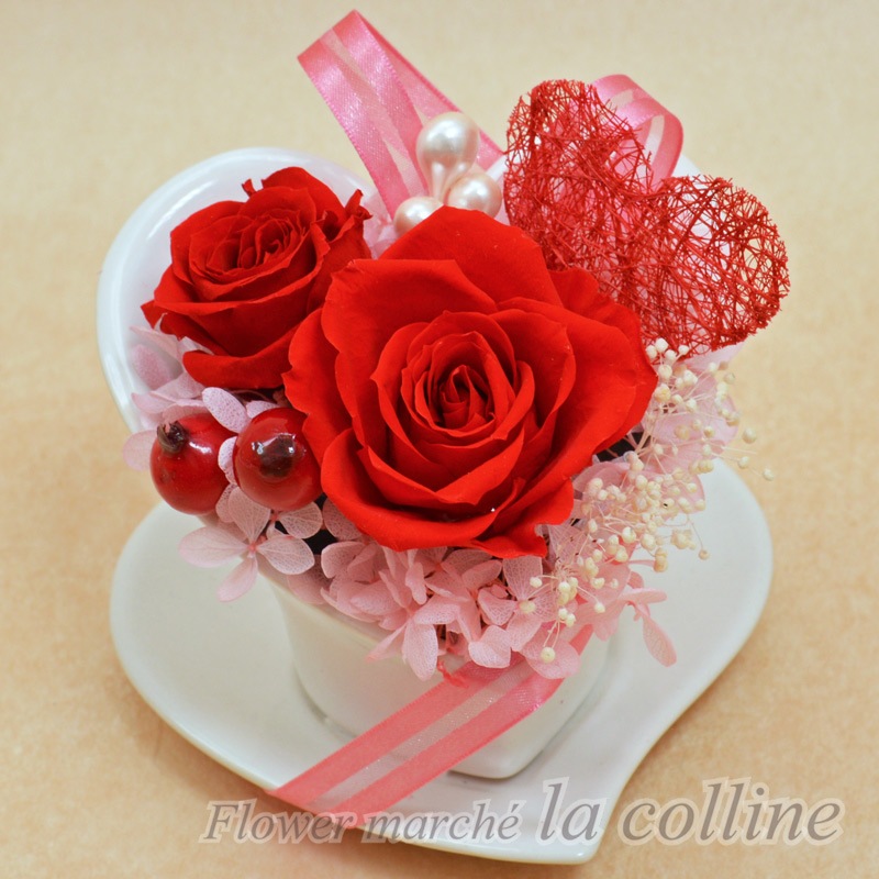 �ϡ��ȥ��åסʥ�åɡˡڥץꥶ���֥ɥե�����󥸡�