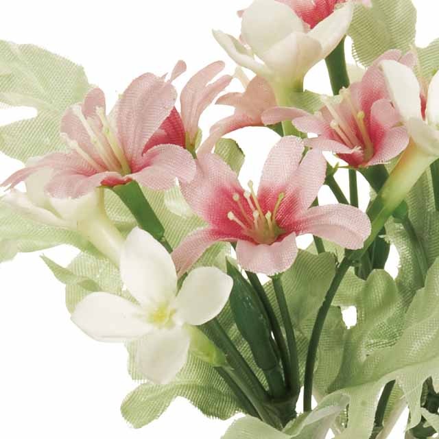 �֥Хꥢ�ե��ԥå����ԥ󥯡����Ʋ��FM005183-002, FM5183�ˡڥ����ƥ��ե������ե��ʹ��¤�֡ˡ�