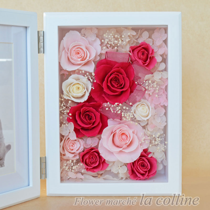 �ԥ󥯤ΥХ�Υե��ȥե졼���L)�ڥץꥶ���֥ɥե�����󥸡�