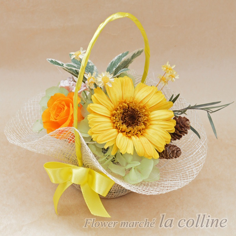 ٥ΥХåȡڥץꥶ֥ɥե󥸡