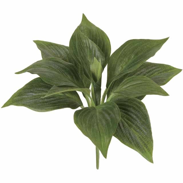 �ե�å���ۥ����꡼�ե֥å�������Ʋ��FG003960, FG3960�ˡڥ����ƥ��ե������ե��ʹ��¤�֡ˡ�