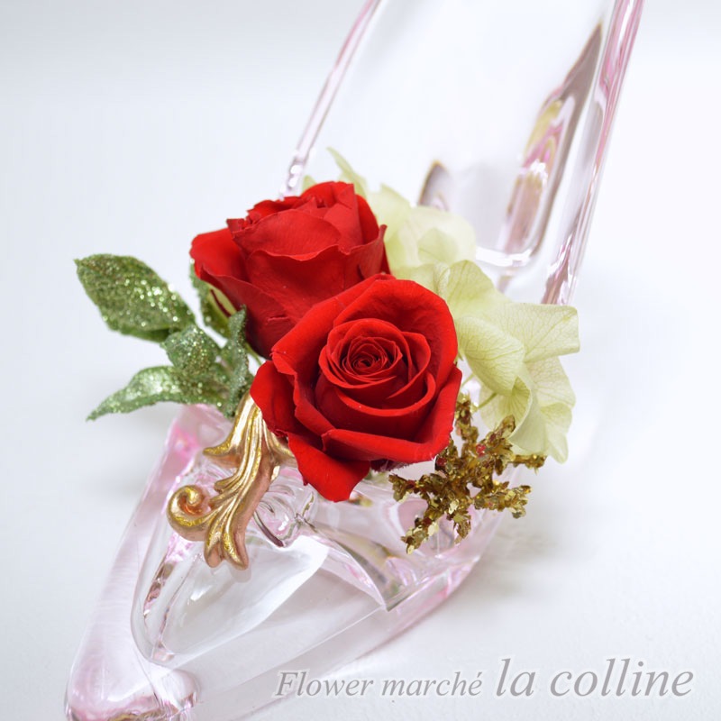 ���쥬��ȥϥ��ҡ���ʥ�åɡˡڥץꥶ���֥ɥե�����󥸡�