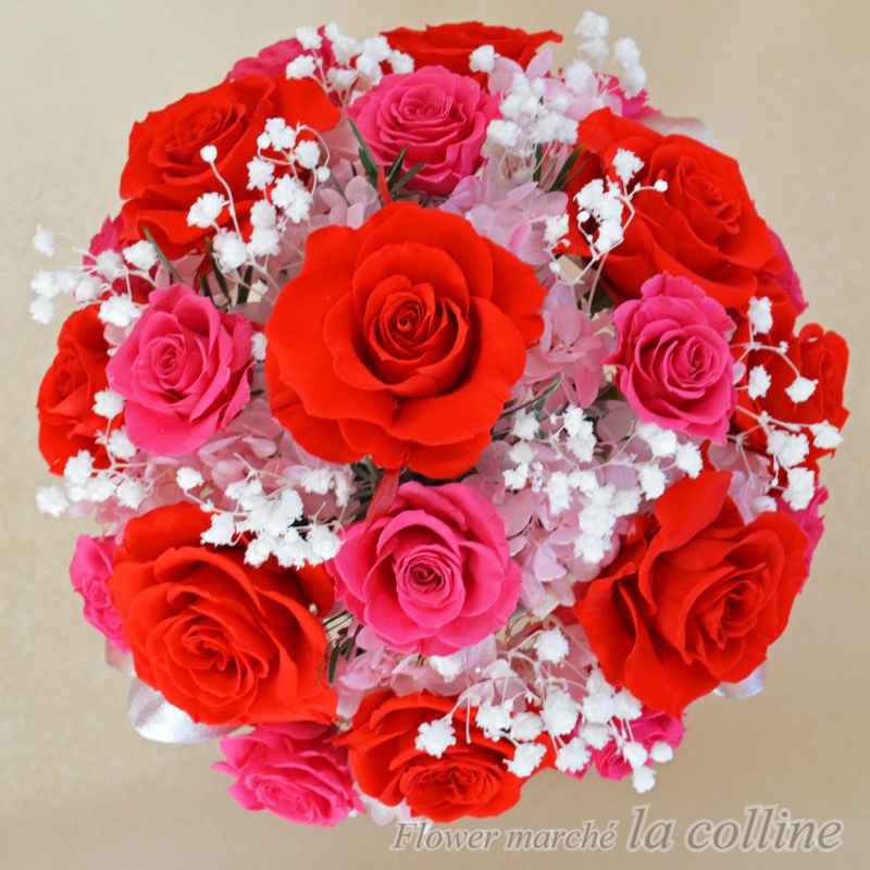 Ķ�������֤��Х�Υ饦��ɥ���󥸡ڥץꥶ���֥ɥե�����󥸡�