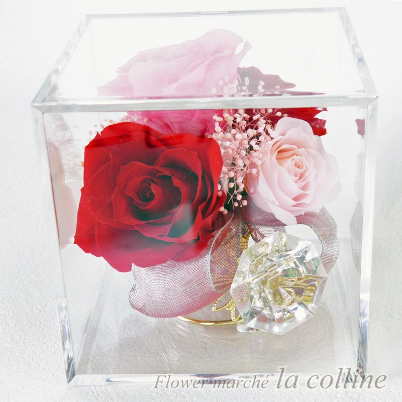 ֡ȥɥ󥰤Υ塼֡ʥåɡˡڥץꥶ֥ɥե󥸡