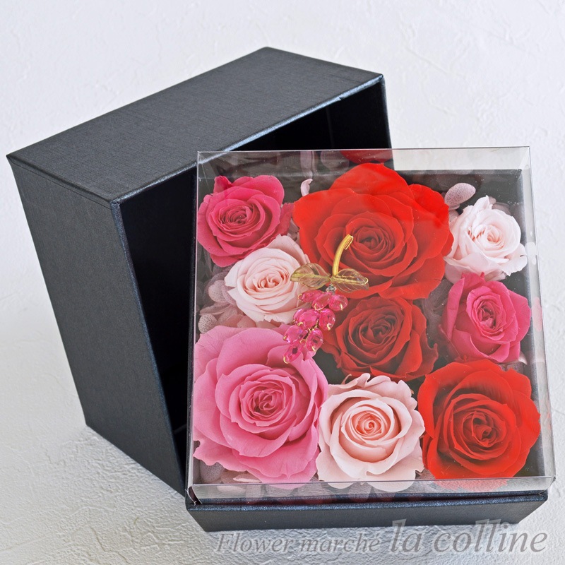 ���쥬��ȥ������Σ£ϣإ���󥸡ڥץꥶ���֥ɥե�����󥸡�