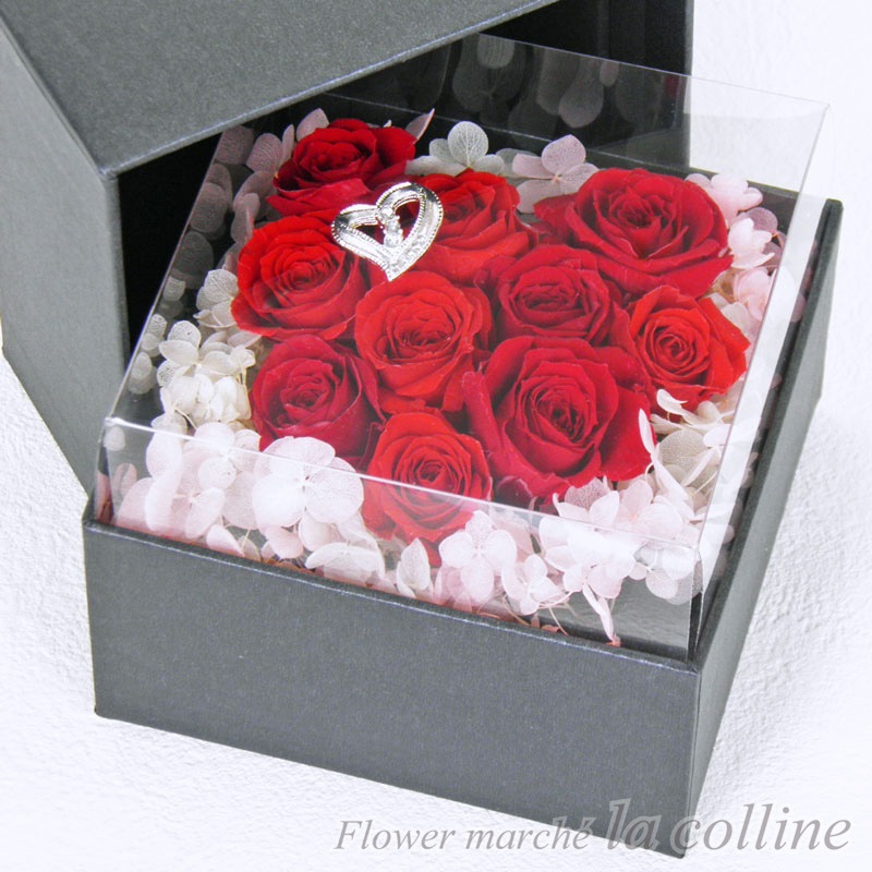 �����֤ʥϡ��ȤΣ£ϣإ���󥸡ڥץꥶ���֥ɥե�����󥸡�