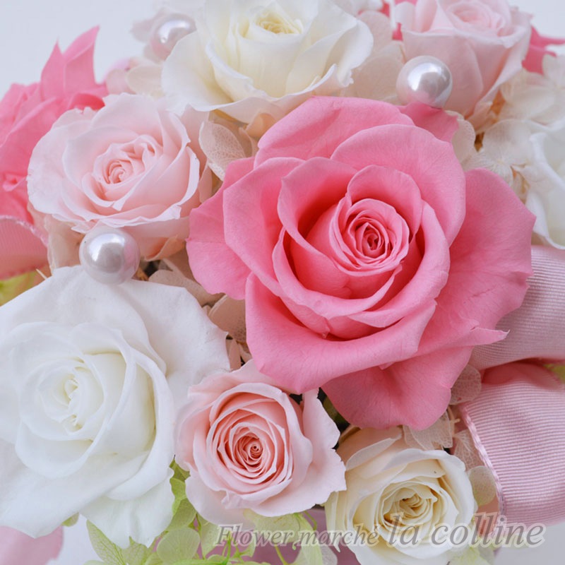 ���������ȥ����ڥץꥶ���֥ɥե�����󥸡�