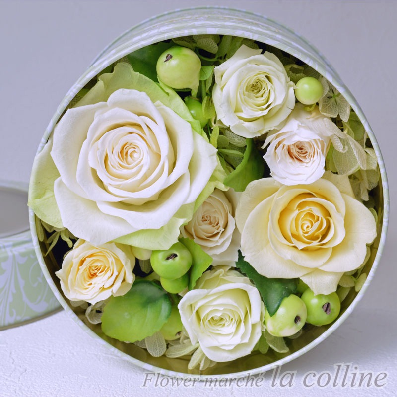 �֥ꥭ�̤Υե��ߥ˥�£ϣإ���󥸡ʥե�å��奰�꡼��ˡڥץꥶ���֥ɥե�����󥸡�