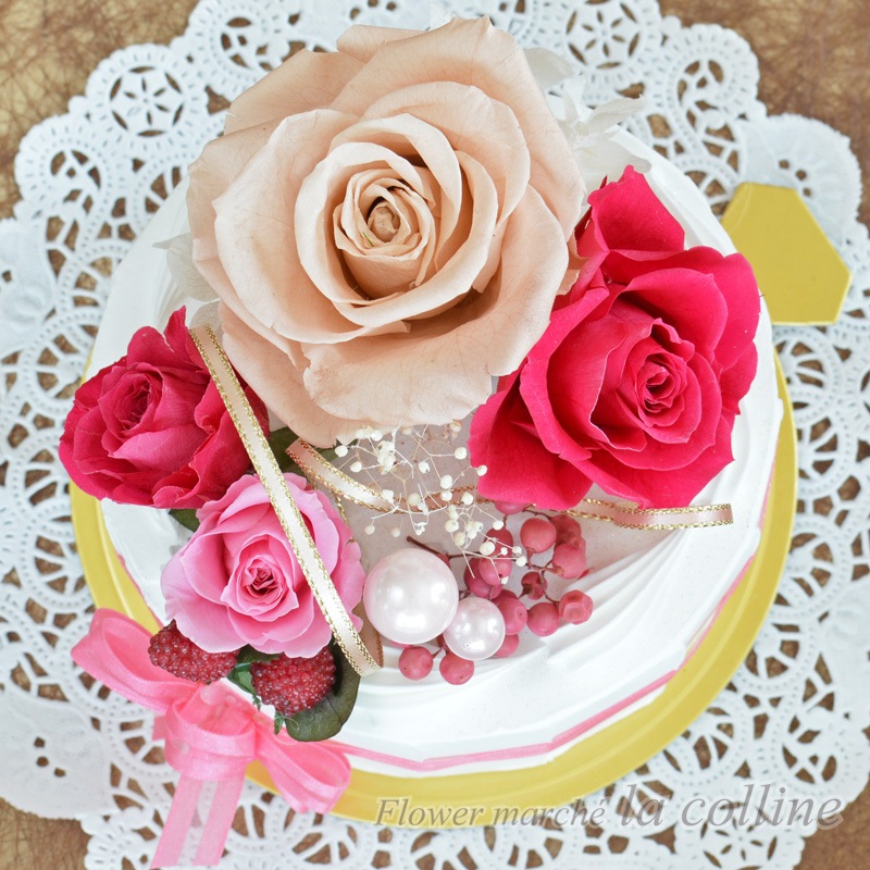 �ۡ���ǥ��졼����󥱡����ʥե��ܥ���ˡڥץꥶ���֥ɥե�����󥸡�