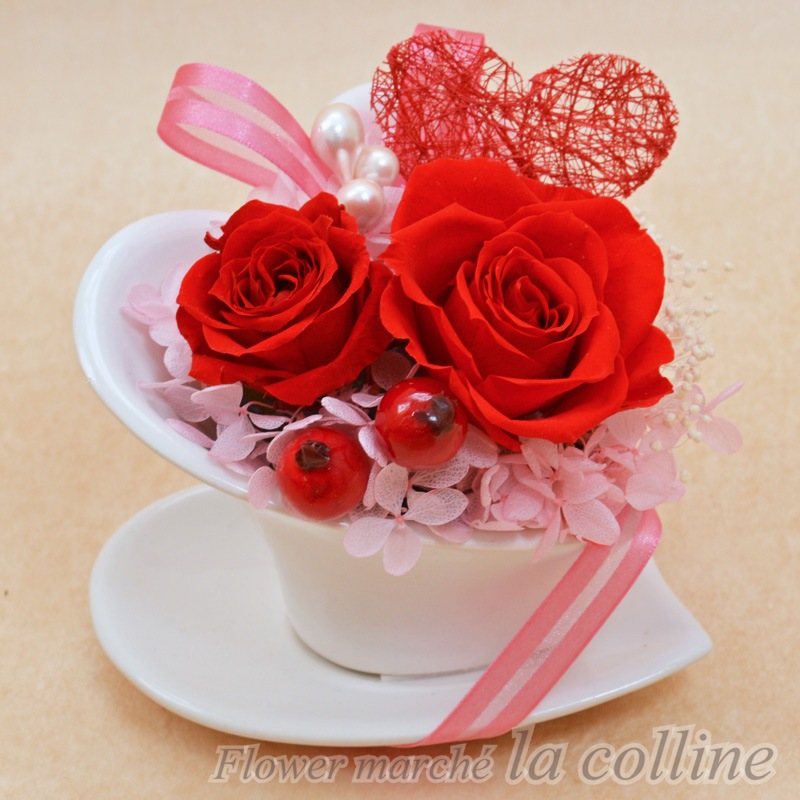 �ϡ��ȥ��åסʥ�åɡˡڥץꥶ���֥ɥե�����󥸡�