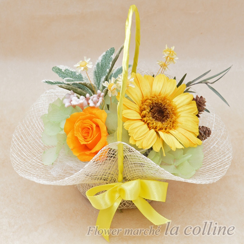 ٥ΥХåȡڥץꥶ֥ɥե󥸡