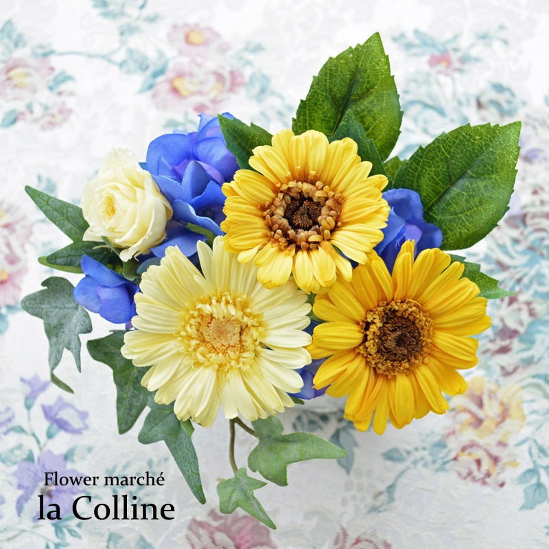 ٥ΥХ륢󥸡ڥץꥶ֥ɥե󥸡