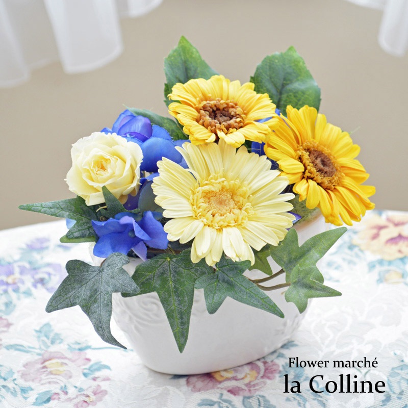 ٥ΥХ륢󥸡ڥץꥶ֥ɥե󥸡