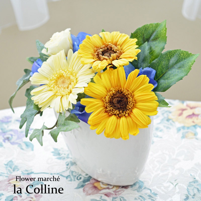 ٥ΥХ륢󥸡ڥץꥶ֥ɥե󥸡