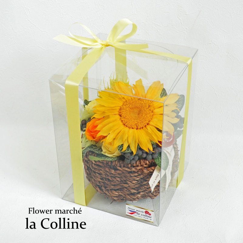 礭ʤҤޤΥХåȡڥץꥶ֥ɥե󥸡