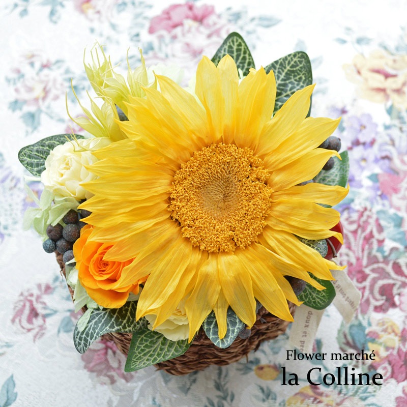 礭ʤҤޤΥХåȡڥץꥶ֥ɥե󥸡