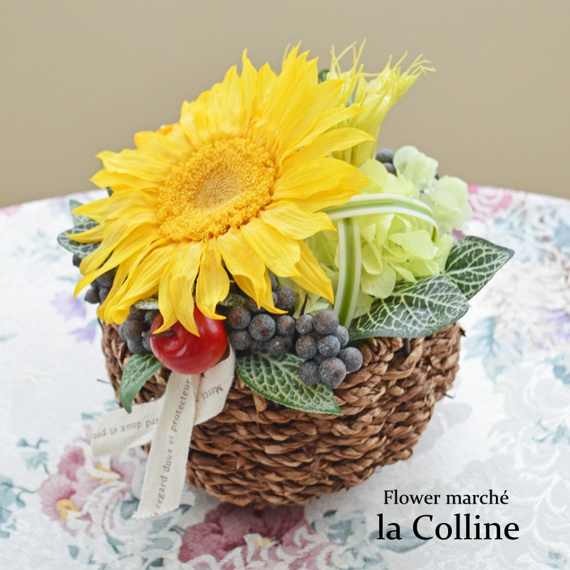 礭ʤҤޤΥХåȡڥץꥶ֥ɥե󥸡