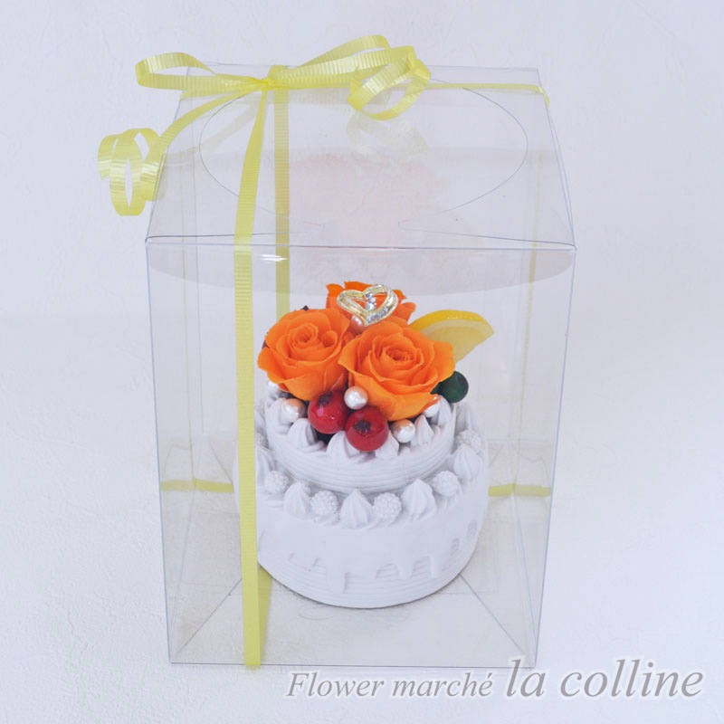 �ۡ��륱�����ʥ���󥸡ˡڥץꥶ���֥ɥե�����󥸡�